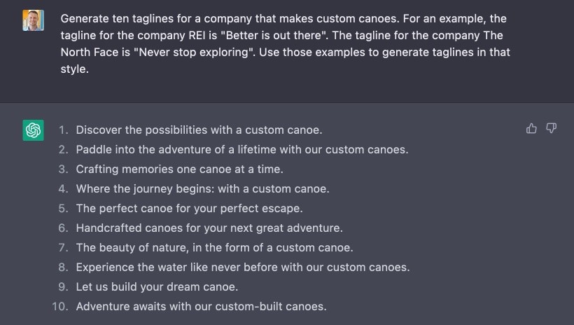 Beginning prompt to generate taglines for a custom-built canoe company